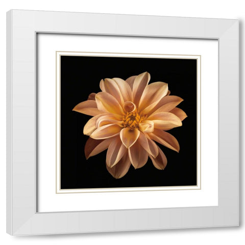 Four Keeps II White Modern Wood Framed Art Print with Double Matting by Frank, Assaf