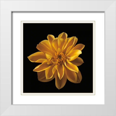 Four Keeps III White Modern Wood Framed Art Print with Double Matting by Frank, Assaf