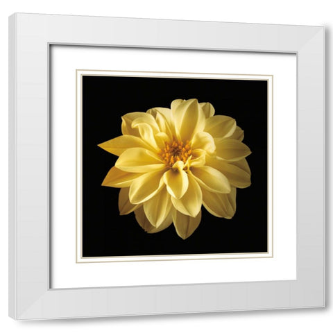 Four Keeps IV White Modern Wood Framed Art Print with Double Matting by Frank, Assaf