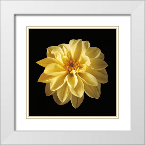 Four Keeps IV White Modern Wood Framed Art Print with Double Matting by Frank, Assaf