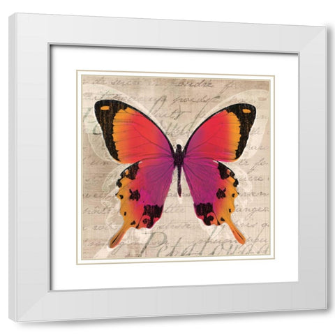 Butterflies III White Modern Wood Framed Art Print with Double Matting by Venter, Tandi