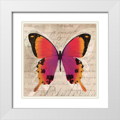 Butterflies III White Modern Wood Framed Art Print with Double Matting by Venter, Tandi