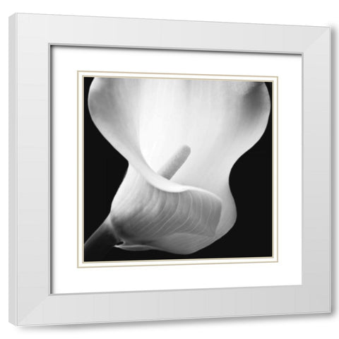 Softness I White Modern Wood Framed Art Print with Double Matting by Frank, Assaf