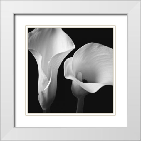 Softness II White Modern Wood Framed Art Print with Double Matting by Frank, Assaf