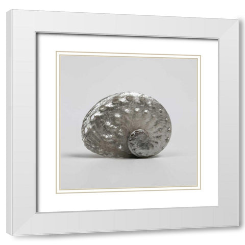 Beachside Treasure IV White Modern Wood Framed Art Print with Double Matting by Frank, Assaf