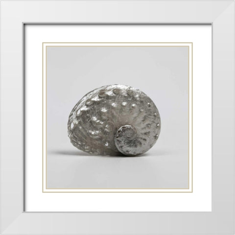 Beachside Treasure IV White Modern Wood Framed Art Print with Double Matting by Frank, Assaf