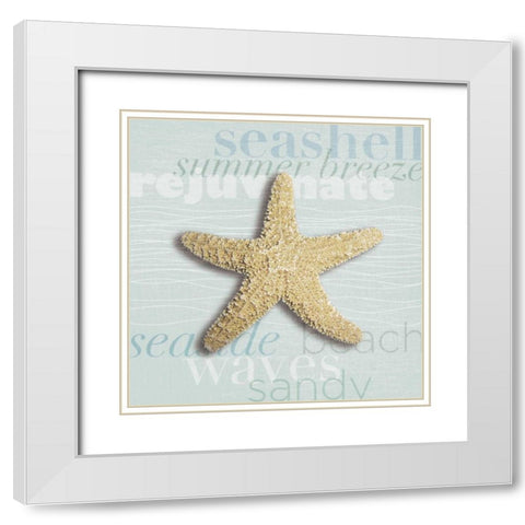 Beach Collection II White Modern Wood Framed Art Print with Double Matting by Venter, Tandi