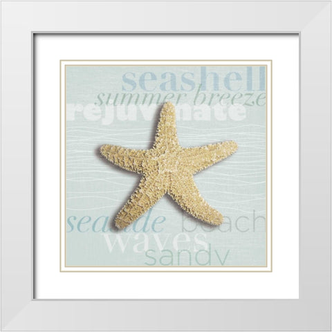Beach Collection II White Modern Wood Framed Art Print with Double Matting by Venter, Tandi