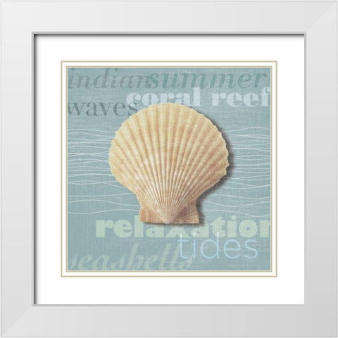 Beach Collection III White Modern Wood Framed Art Print with Double Matting by Venter, Tandi