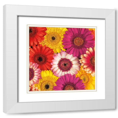 Splash of Color I White Modern Wood Framed Art Print with Double Matting by Frank, Assaf