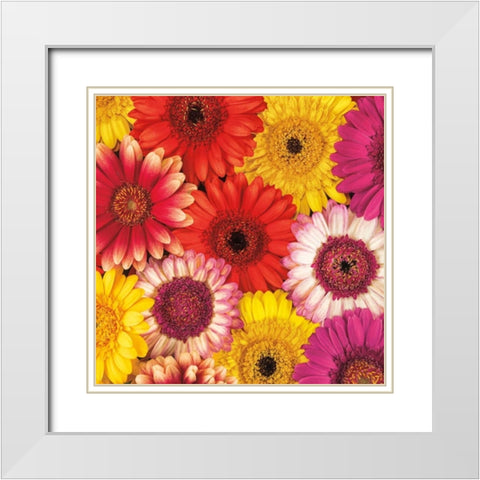 Splash of Color II White Modern Wood Framed Art Print with Double Matting by Frank, Assaf