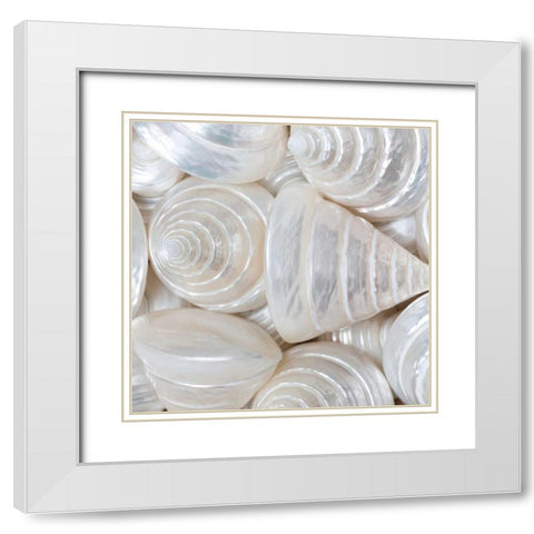 Opalesque II White Modern Wood Framed Art Print with Double Matting by Frank, Assaf