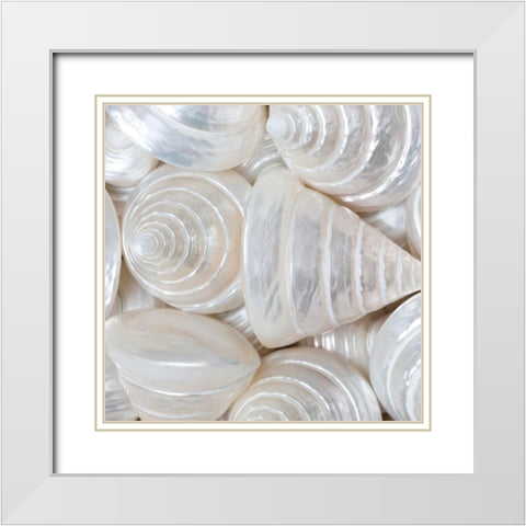 Opalesque II White Modern Wood Framed Art Print with Double Matting by Frank, Assaf