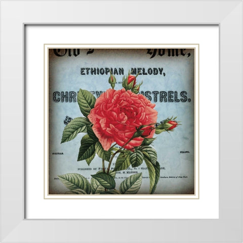 Petite Rose II White Modern Wood Framed Art Print with Double Matting by Berg, Sabine