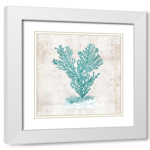 Under the Sea II White Modern Wood Framed Art Print with Double Matting by Berg, Sabine