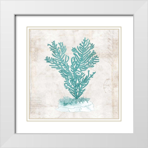Under the Sea II White Modern Wood Framed Art Print with Double Matting by Berg, Sabine