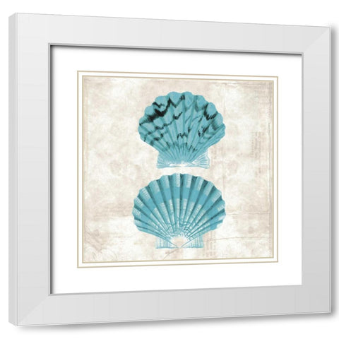 Under the Sea IV White Modern Wood Framed Art Print with Double Matting by Berg, Sabine