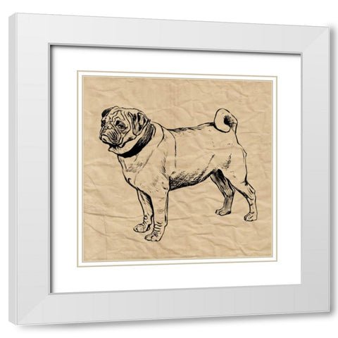Pug White Modern Wood Framed Art Print with Double Matting by Berg, Sabine
