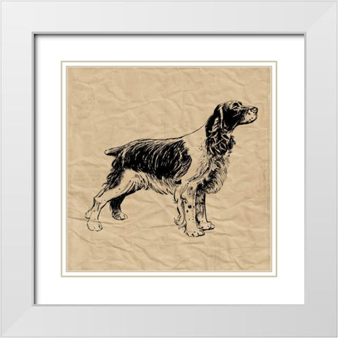 Spaniel White Modern Wood Framed Art Print with Double Matting by Berg, Sabine