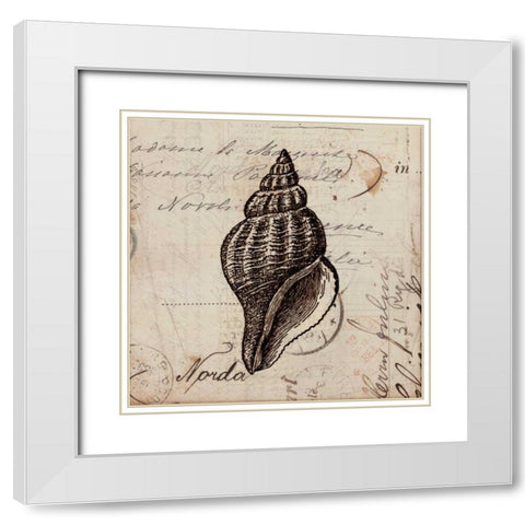 Ocean Collection I White Modern Wood Framed Art Print with Double Matting by Berg, Sabine