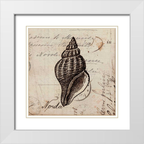 Ocean Collection I White Modern Wood Framed Art Print with Double Matting by Berg, Sabine