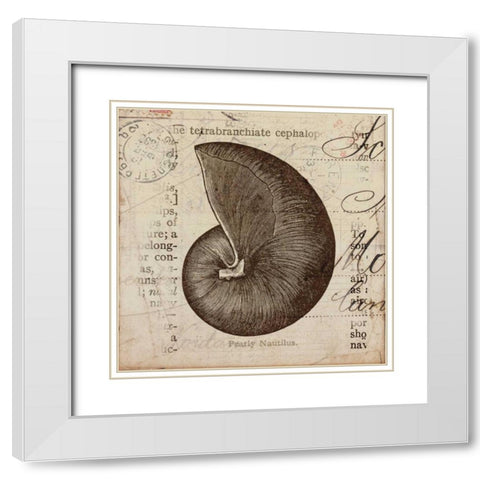 Ocean Collection II White Modern Wood Framed Art Print with Double Matting by Berg, Sabine