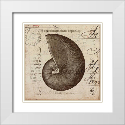 Ocean Collection II White Modern Wood Framed Art Print with Double Matting by Berg, Sabine