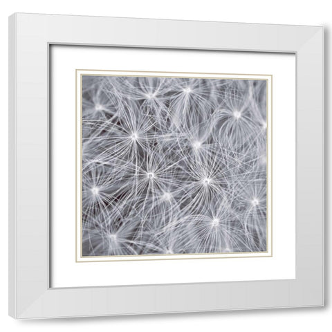 Natural Designs I White Modern Wood Framed Art Print with Double Matting by Frank, Assaf