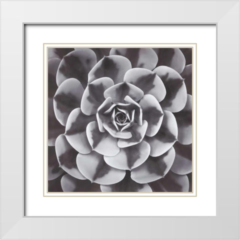 Natural Designs III White Modern Wood Framed Art Print with Double Matting by Frank, Assaf