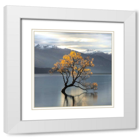 Undisturbed White Modern Wood Framed Art Print with Double Matting by Cahill, Michael