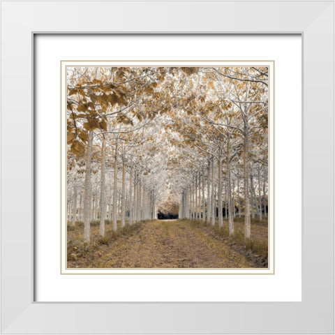 White Gold White Modern Wood Framed Art Print with Double Matting by Frank, Assaf