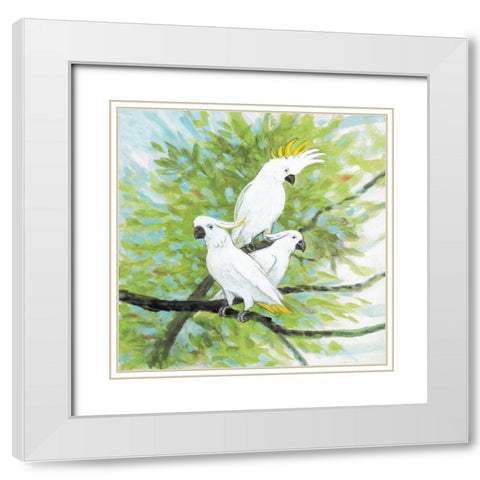 Cockatoos White Modern Wood Framed Art Print with Double Matting by Fisk, Arnie