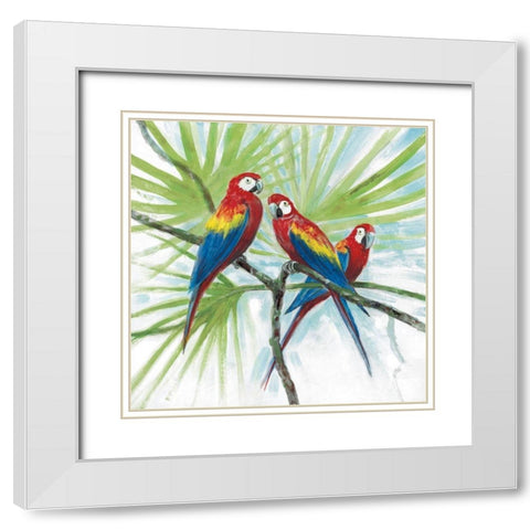 Parrots White Modern Wood Framed Art Print with Double Matting by Fisk, Arnie
