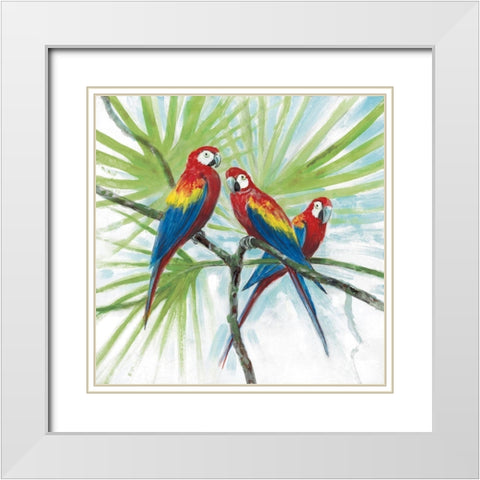 Parrots White Modern Wood Framed Art Print with Double Matting by Fisk, Arnie