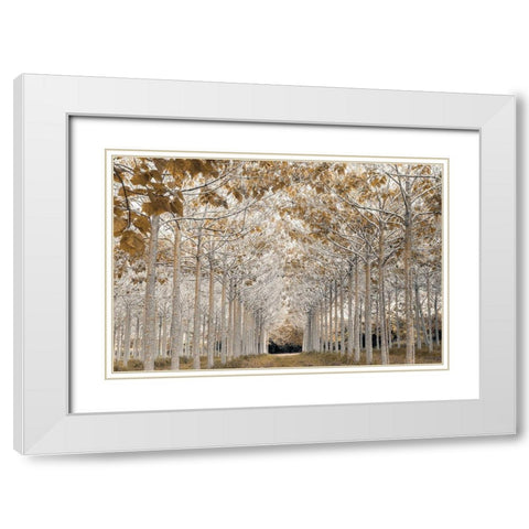 White Gold White Modern Wood Framed Art Print with Double Matting by Frank, Assaf