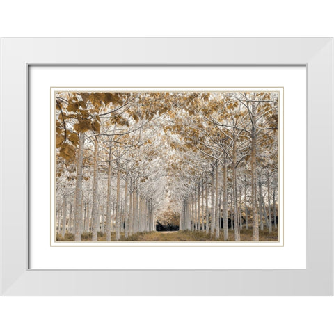 White Gold White Modern Wood Framed Art Print with Double Matting by Frank, Assaf