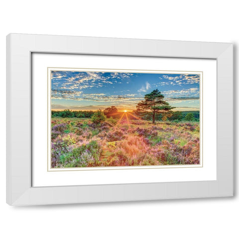 Heathland Sunset White Modern Wood Framed Art Print with Double Matting by Frank, Assaf