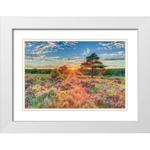 Heathland Sunset White Modern Wood Framed Art Print with Double Matting by Frank, Assaf