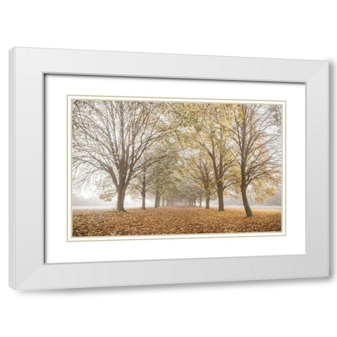 Autumns Peace White Modern Wood Framed Art Print with Double Matting by Frank, Assaf