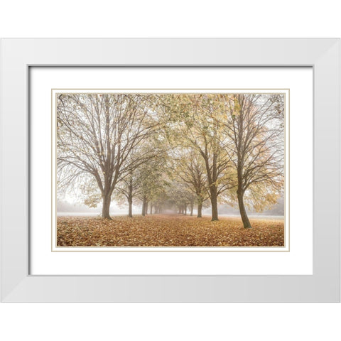 Autumns Peace White Modern Wood Framed Art Print with Double Matting by Frank, Assaf