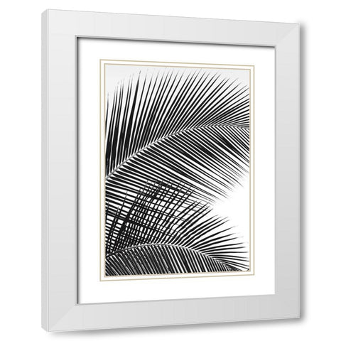Tropical Fan White Modern Wood Framed Art Print with Double Matting by Frates, Dennis
