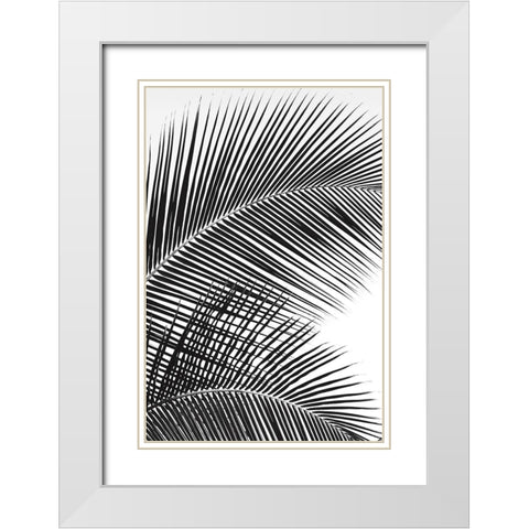 Tropical Fan White Modern Wood Framed Art Print with Double Matting by Frates, Dennis
