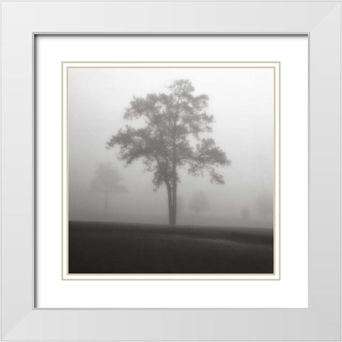 Fog Tree Study I White Modern Wood Framed Art Print with Double Matting by Cook, Jamie