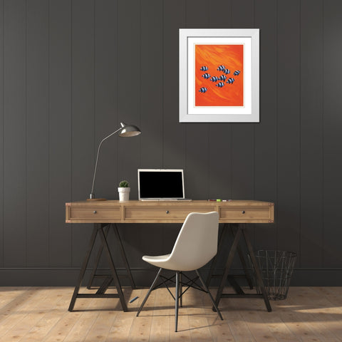 10 Black-Tailed Humbugs White Modern Wood Framed Art Print with Double Matting by Siddle, Keith