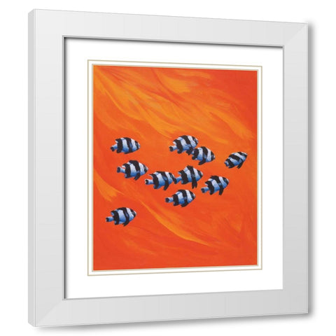 10 Black-Tailed Humbugs White Modern Wood Framed Art Print with Double Matting by Siddle, Keith