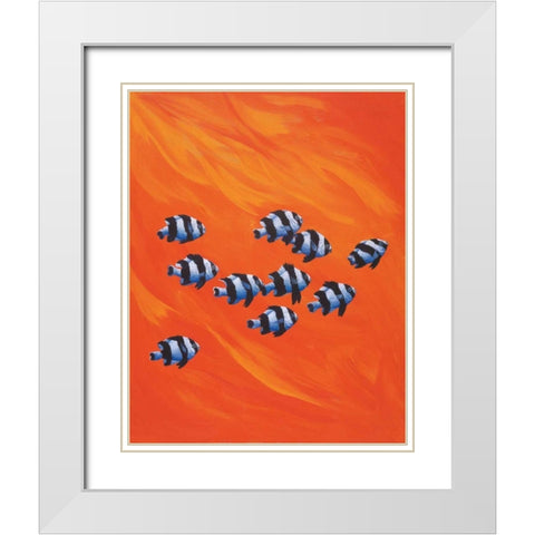 10 Black-Tailed Humbugs White Modern Wood Framed Art Print with Double Matting by Siddle, Keith
