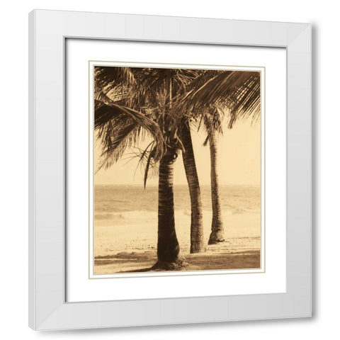 Palm Beach II White Modern Wood Framed Art Print with Double Matting by Kelly, Dennis