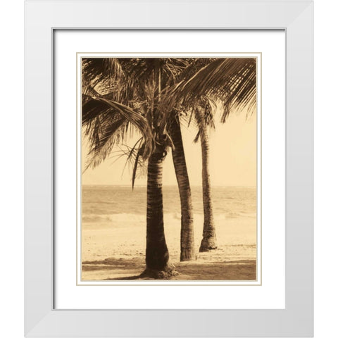 Palm Beach II White Modern Wood Framed Art Print with Double Matting by Kelly, Dennis