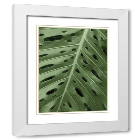 Tropica II White Modern Wood Framed Art Print with Double Matting by Maihara/Watt, Jeff/Boyce