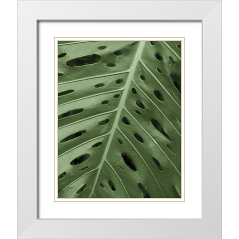 Tropica II White Modern Wood Framed Art Print with Double Matting by Maihara/Watt, Jeff/Boyce